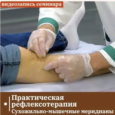 [Сандал] Практическая рефлексотерапия. Сухожильно-мышечные меридианы (Владимир Кононов)