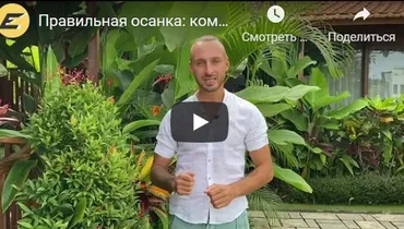 [Edston] Правильная осанка (Игорь Волнин)