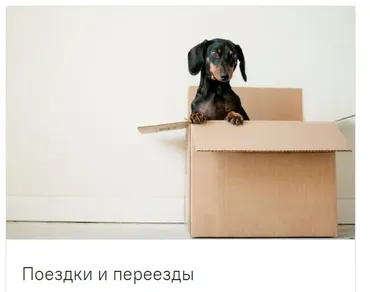 [guru_mangala] Поездки и переезды. Без домашних заданий(Светлана Блантер)