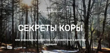 [Школа траволечения доктора Ольги Данилюк] Секреты коры (Ольга Данилюк)
