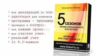 5 сезонов профессионального бухгалтера (Константин Рейман)