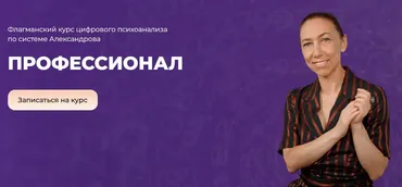 Профессионал. Ступень 1. Психоматрица и методы работы с ней (Алла Александрова)