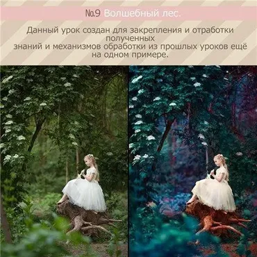 Урок для фотографа №9. Волшебный лес (Ирина Калмыкова)