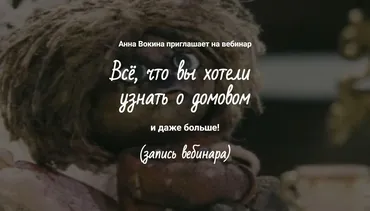 Домовой - что это? (Анна Вокина)