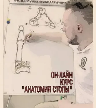 Анатомия стопы (Кирилл Шлыков)