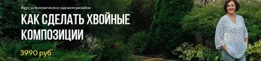 Как сделать хвойные композиции (Наталья Мягкова)