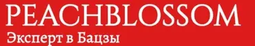 Бацзы. Блок Статей № 11 (Татьяна Владимирова)