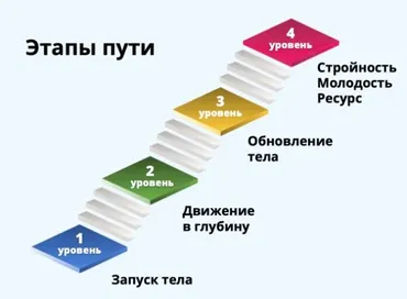 Твой путь к стройности и молодости. 1 месяц (Светлана Рахманова)