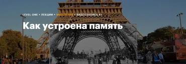 [Level One] Как устроена память (Елена Белова)