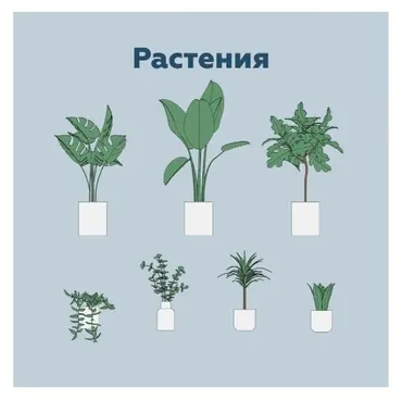 [INT Lines] Растения. Параметрические семейства Revit (Иван Зылёв)
