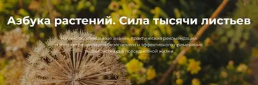 [FestTrav] Азбука растений. Тысячелистник (Александра Клименко)