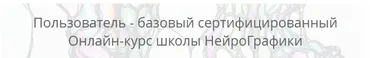 [Нейрографика] Пользователь - базовый сертифицированный (Павел Пискарёв)