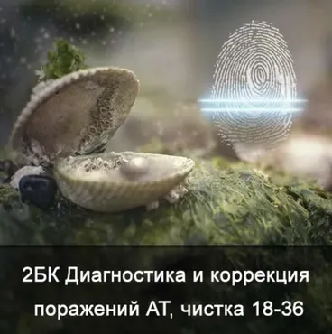 2БК Диагностика и коррекция поражений АТ, чистка от 18 до 36 лет (Ксения Меньшикова)