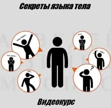 [LendWings] Секреты языка тела (Ванесса Ван Эдвардс)