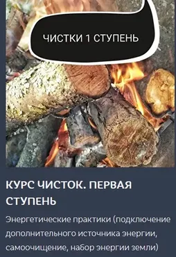 Курс чисток. Первая ступень (Ольга Ракита)