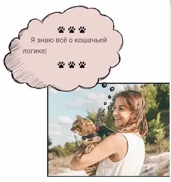 Протокол Как познакомить кошку с кошкой (Марина Жеребилова)