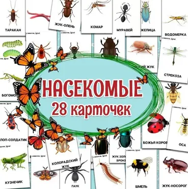 [umeem_igrat] Карточки «Насекомые» (Алсу Хаметова)