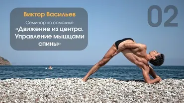 Движение из центра. Управление мышцами спины. День 2 (Виктор Васильев)