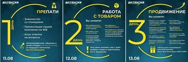 Интенсив на миллиард. Тариф Medium (Денис Давыдов)
