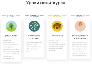[kinologschool] Страх звуков (Антонина Зимарева)