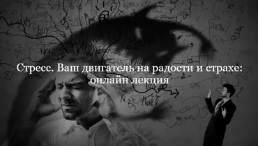 Стресс. Ваш двигатель на радости и страхе (Иван Квасов)