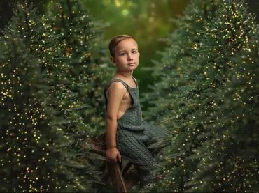 [sweetsoulstudios] Рождественские деревья / Christmas Trees PSD