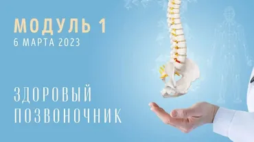 [Yulia.Stretch] Спина: Модуль 1. Здоровый позвоночник (Юлия Грошева)