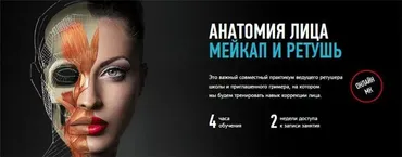 [Profileschool] Анатомия лица. Мейкап и ретушь (Дарья Аксенова, Саша Чалдрян)