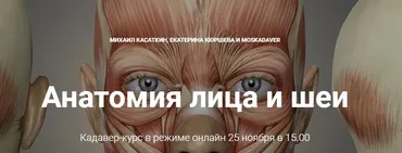 Кадавер-курс Анатомия лица и шеи (Михаил Касаткин, Екатерина Кюршева)