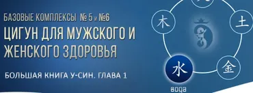 Цигун для Мужского и Женского здоровья. Тариф- Про (Владимир Осипов)