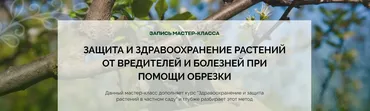[Умный Садовник] Защита и здравоохранение растений от вредителей и болезней при помощи обрезки (Дмитрий Звонка)