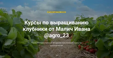 [@agro_23] Курсы по выращиванию клубники (Иван Малич)