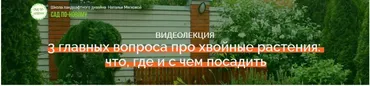 3 главных вопроса про хвойные растения: что, где и с чем посадить  (Наталья Мягкова)
