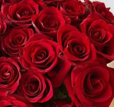 [OnlineWomenClub] Значимость 3.1.+ Подарки (Анжела Николенко) @asya.secret