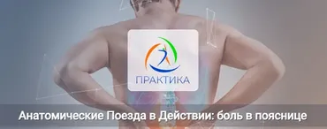 [Центр Практика] Анатомические Поезда в Действии: боль в пояснице  (Анна Щербина)