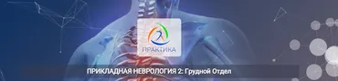 [Центр Практика] Прикладная неврология 2: Грудной отдел (Мария Недре)