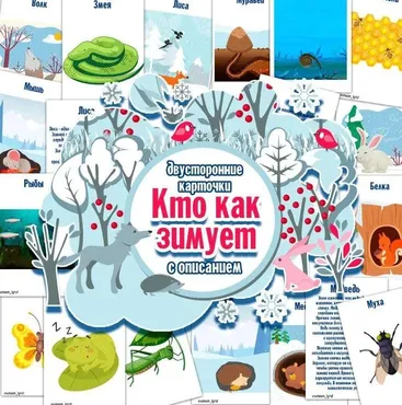 [umeem_igrat] Карточки с описанием. Кто как зимует (Алсу Хаметова)