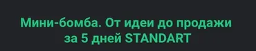 Мини-бомба. От идеи до продажи за 5 дней. Тариф Standart (Сергей Загородников)