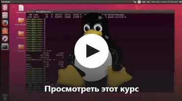 [Udemy] Linux с нуля до Сертификата (Денис Астахов)