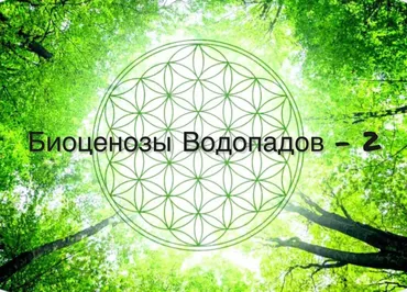 Семинар «Целительство. Биоценозы водопадов — часть 2»  (SelenaS)