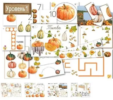 [busy-bee] Тыква уровень 1