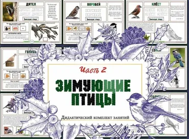 Зимующие птицы. Часть 2 (Елена Солдатова)