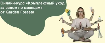 [Garden Foresta] Комплексный уход за садом по месяцам