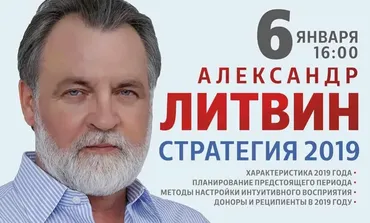 Стратегия 2019 (Александр Литвин)