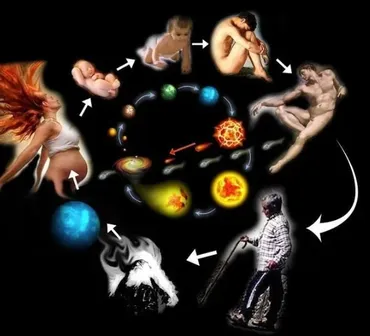 Фаза Ци: спрятанная инструкция к вашей жизни (Мария Гнатовская)