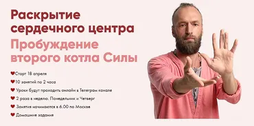 Сила Сердца. Пробуждение второго котла (Станислав Казаков)