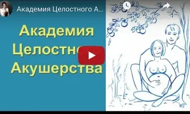 Целостное акушерство  для профессионалов. Первая Ступень  (Елена Ермакова)