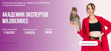 Академия экспертов Wildberries. Тариф Премиум (Кристина Курепина)