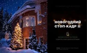 Новогодний стоп-кадр II, 2016 (Александр Заморин, Софи Лебедева)