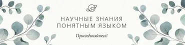 [Учебный центр Обитель] Фитотерапия и беременность (Яна Горбовская)